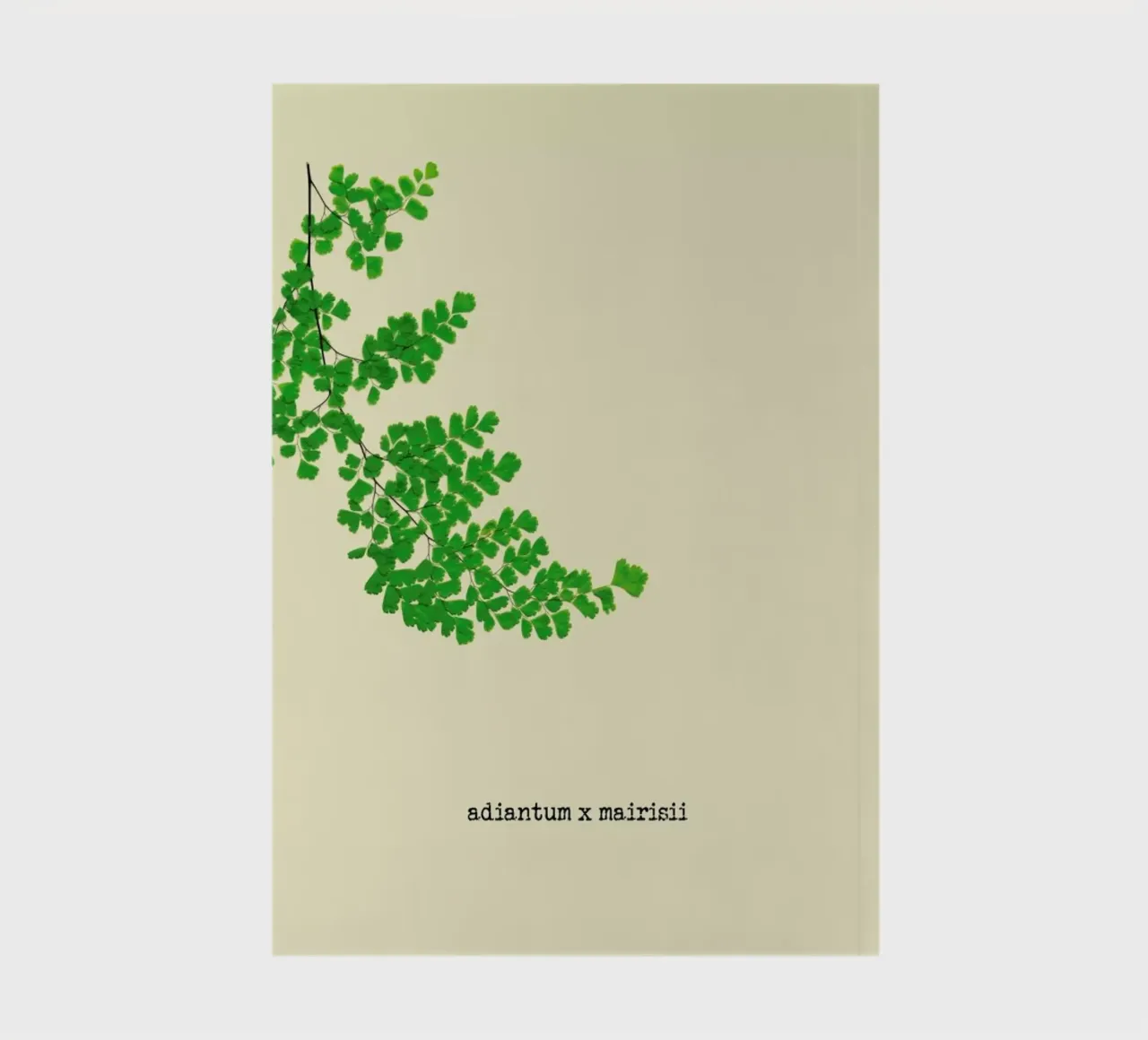 Adiantum X Mairisii notebook by Ingrid Beddoes
