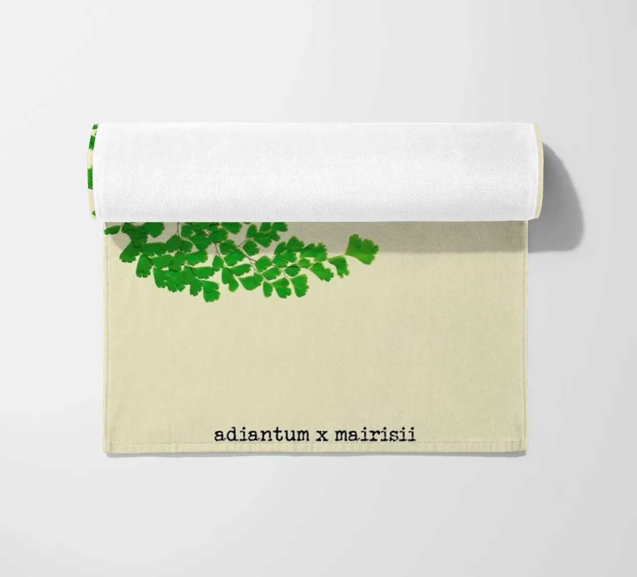 Adiantum X Mairisii telo mare da Ingrid Beddoes