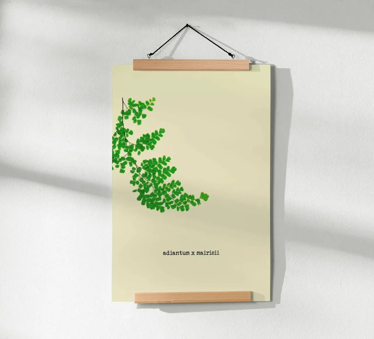 Adiantum X Mairisii poster da Ingrid Beddoes