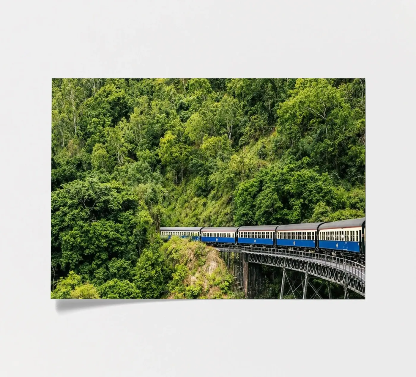 train planche autocollant de raflessia