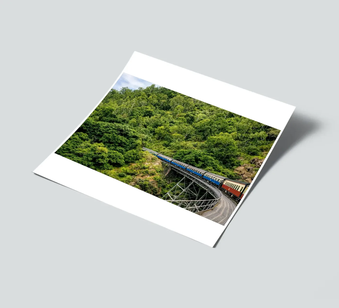 train planche autocollant de raflessia