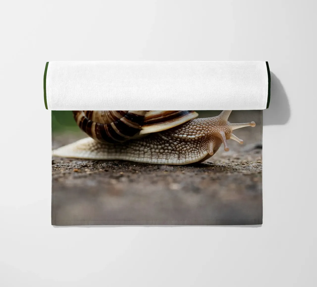 lumaca telo mare da raflessia