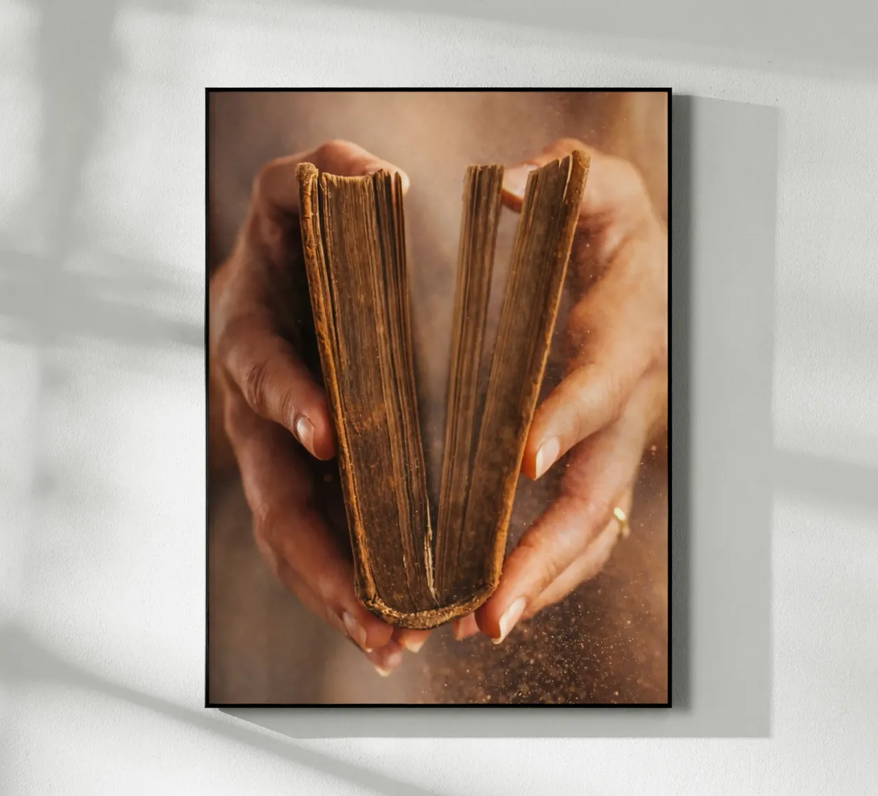 livre ancien plexiglas de raflessia