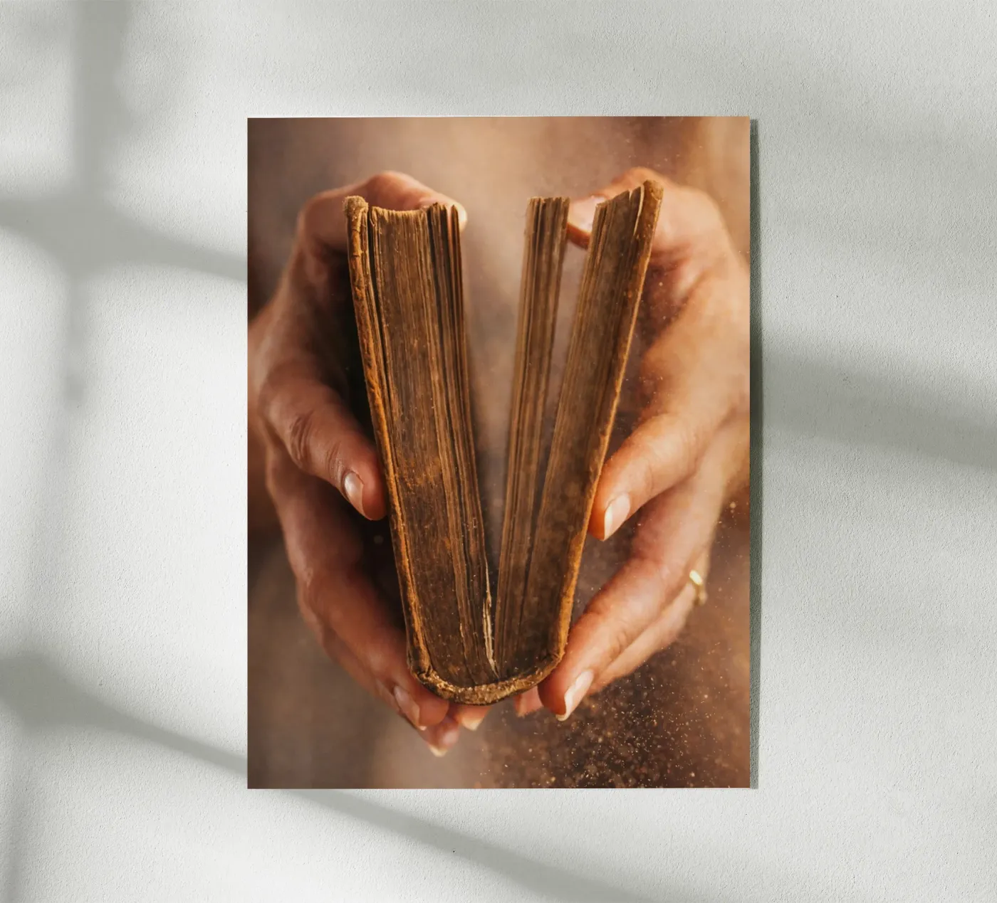 oud boek acryl van raflessia