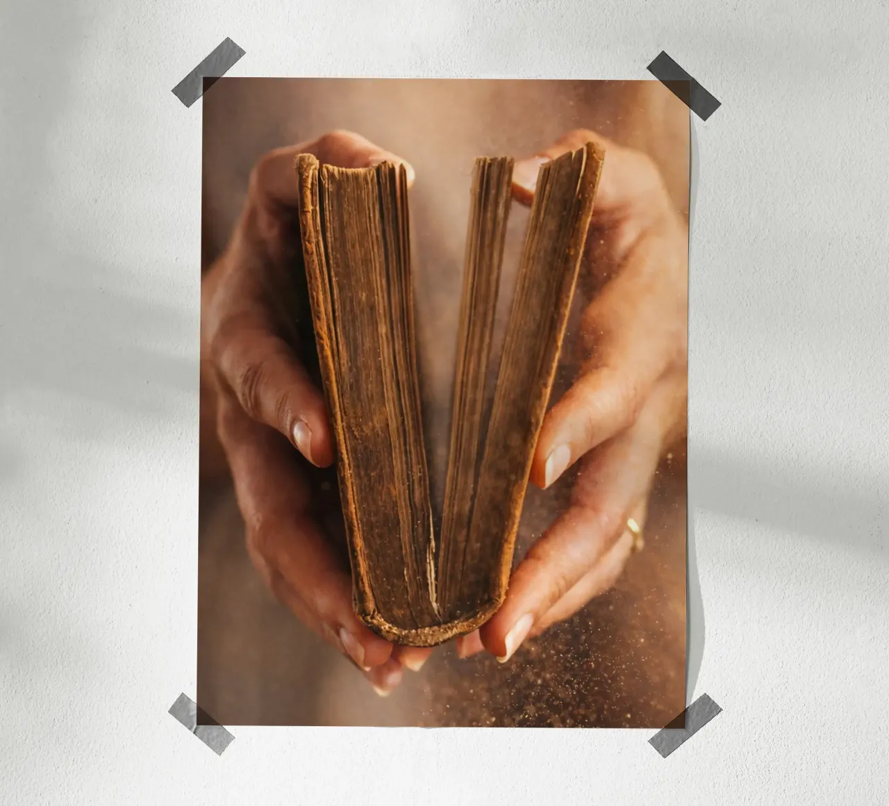 libro antico poster da raflessia