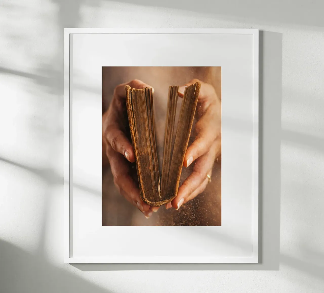 libro antico poster da raflessia