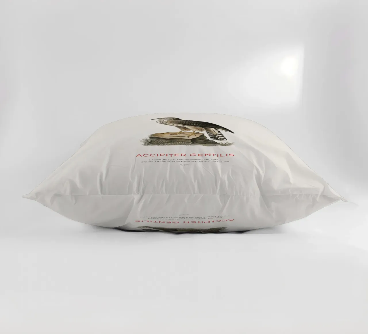 Astore settentrionale o Accipiter Gentilis cuscino da Vintagrafica