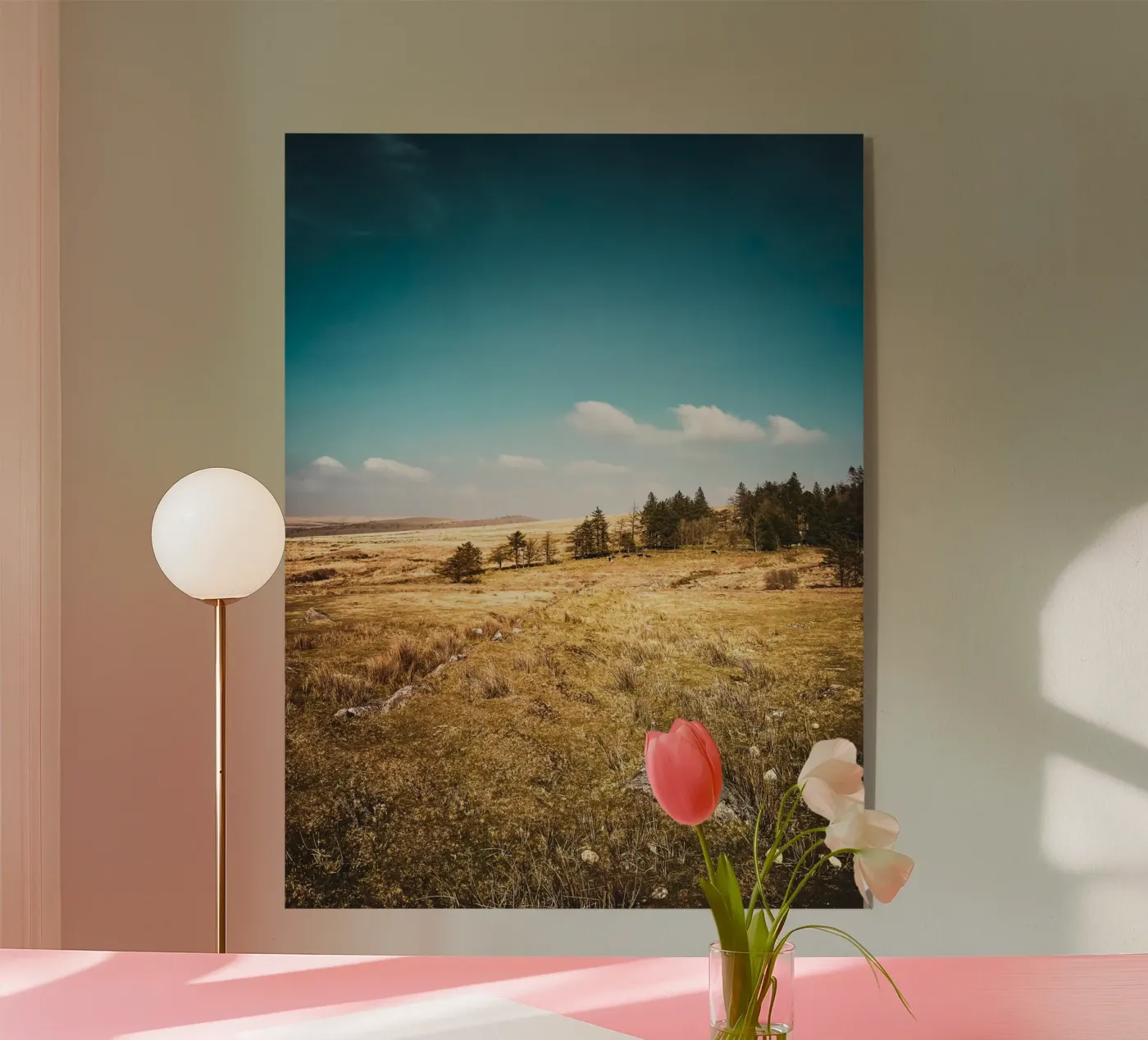 Dartmoor 01 plexiglass da Kerry Gerdes Photography