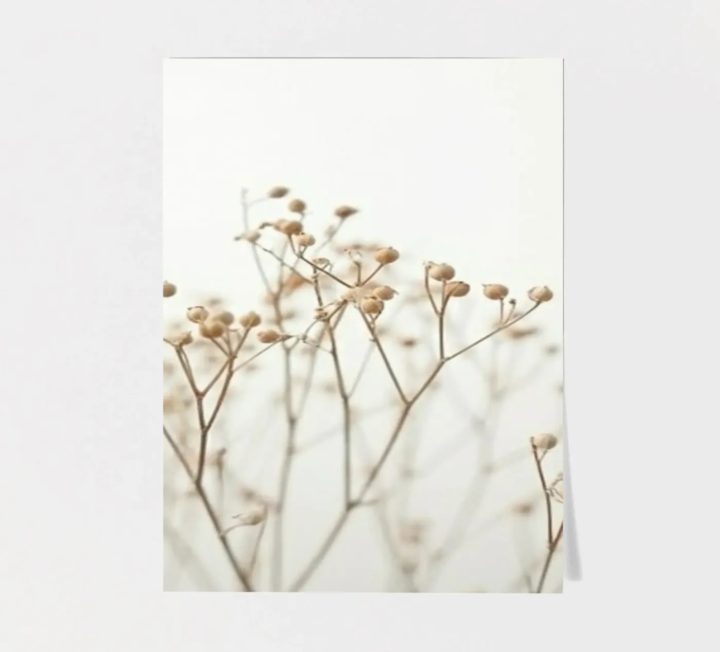 DRIED sticker sheet by PERSIE
