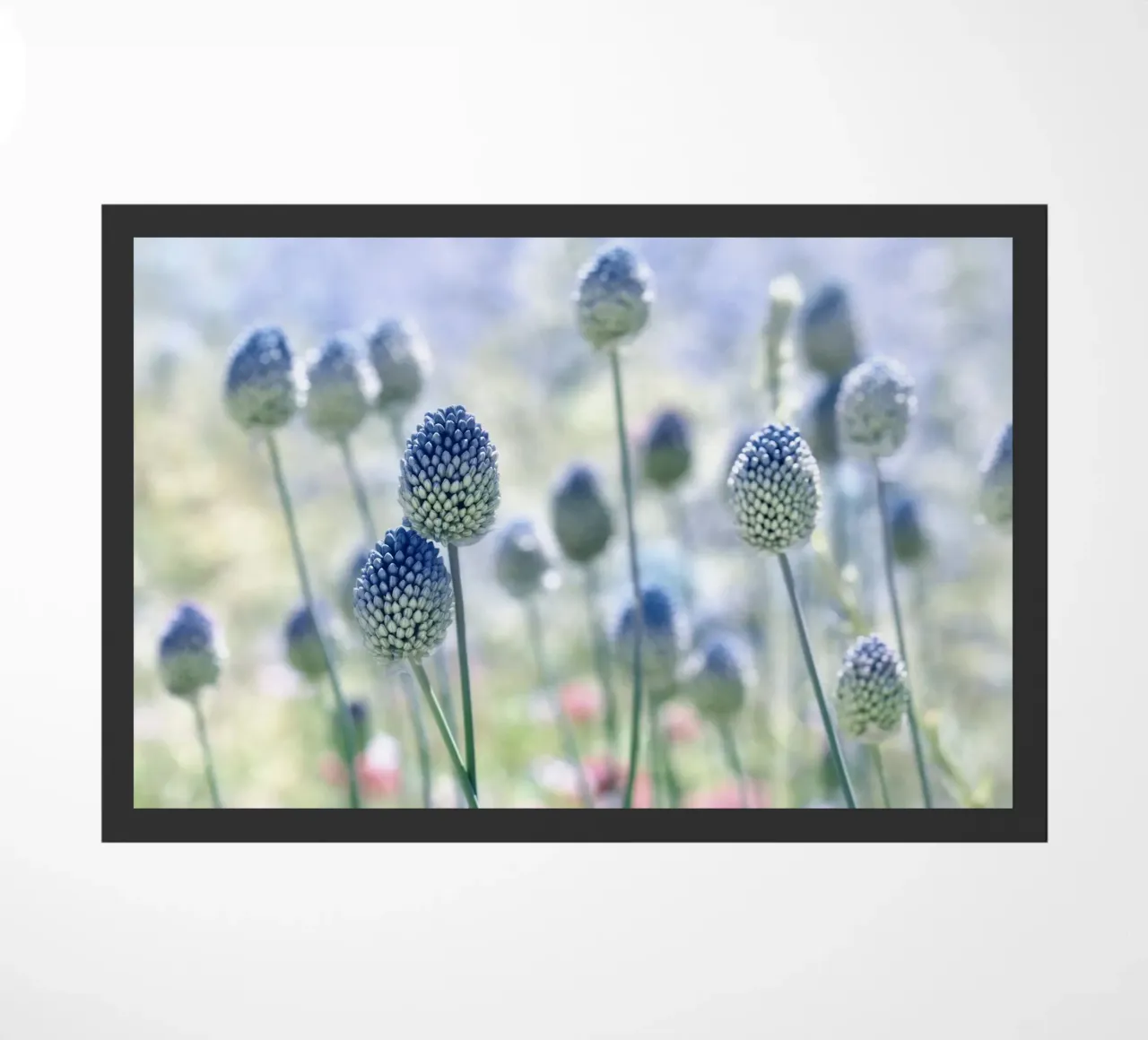 summer meadow doormat by Atteloi Fotografie