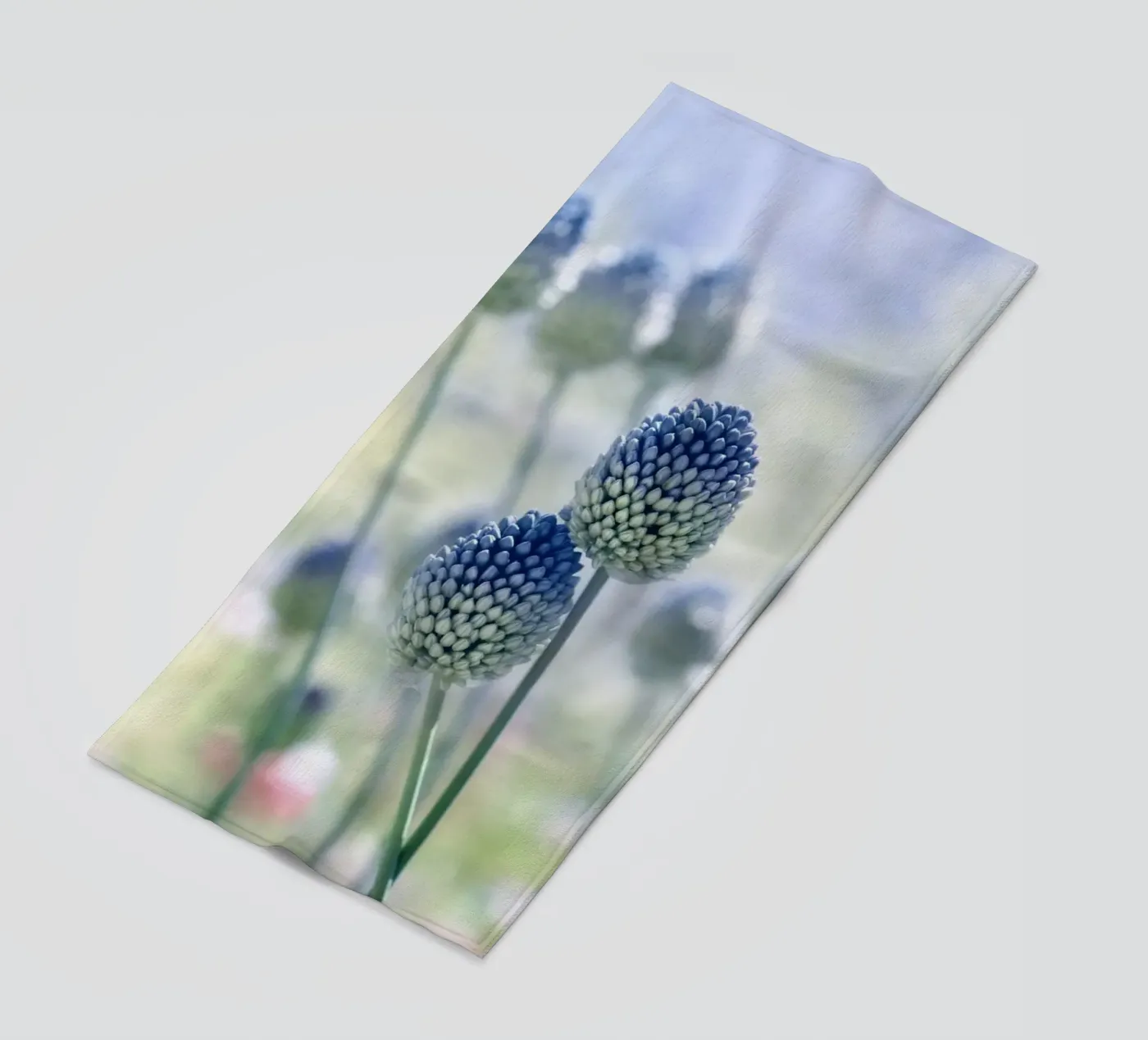 prato estivo telo mare da Atteloi Fotografie