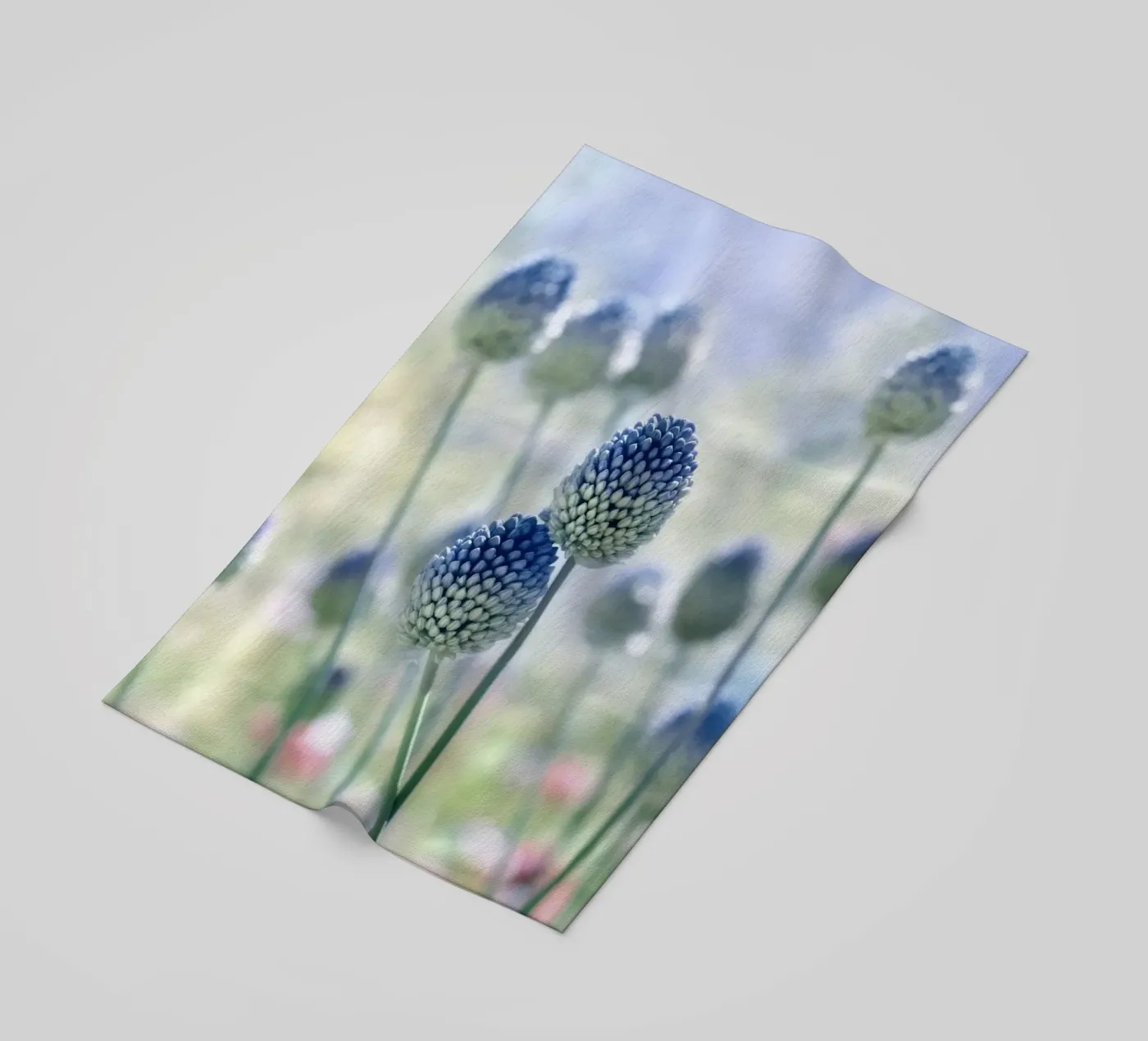 prato estivo telo mare da Atteloi Fotografie