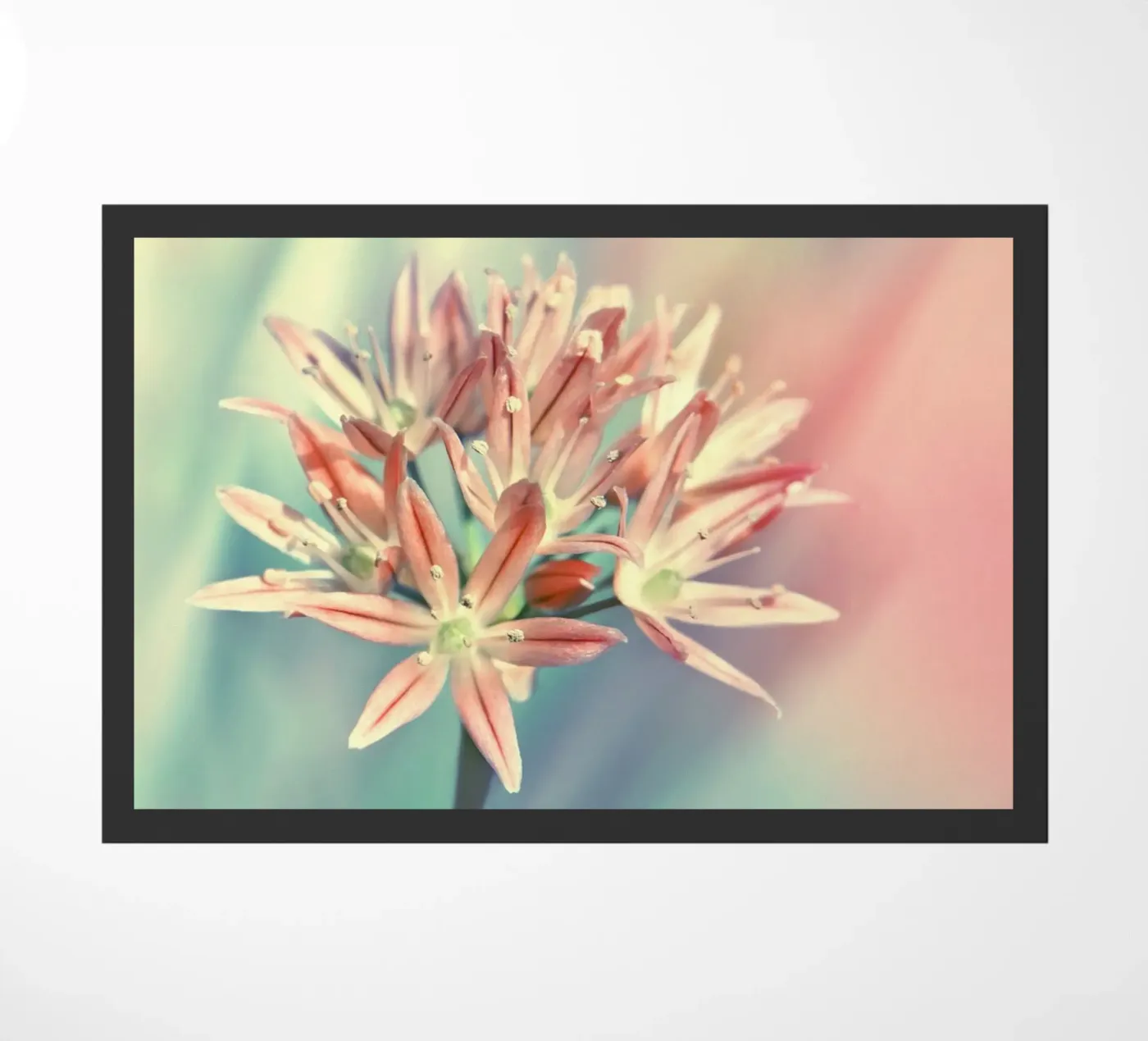 pastel bloom Fußmatte von Atteloi Fotografie