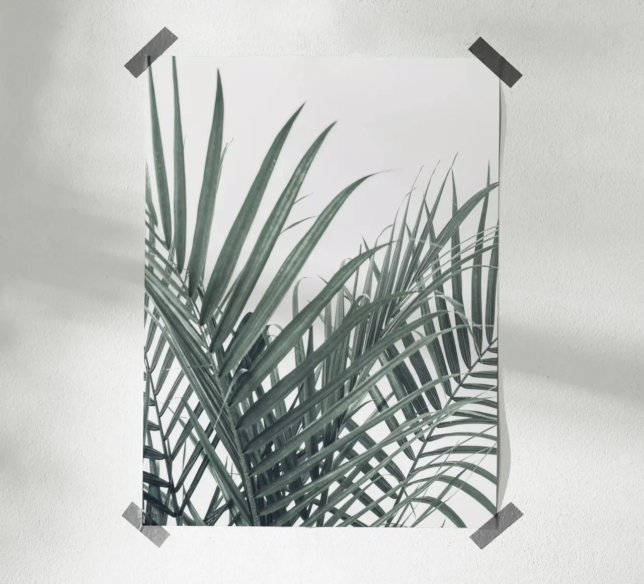 Palmenblätter Kunst – Tropisches Naturdesign Poster von Whole©