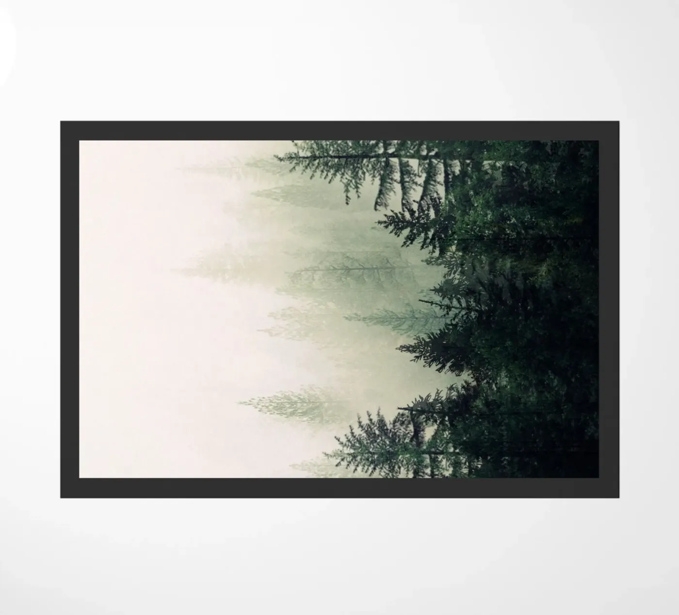 Foggy Pine Trees zerbino da andreas12