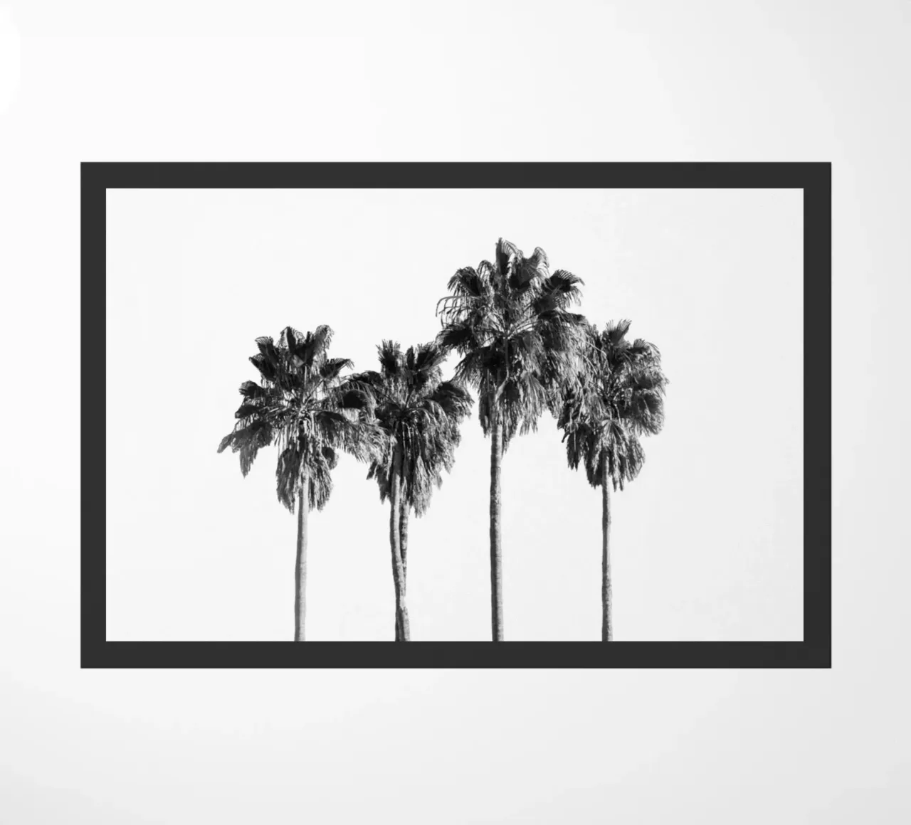 Palm trees zerbino da andreas12