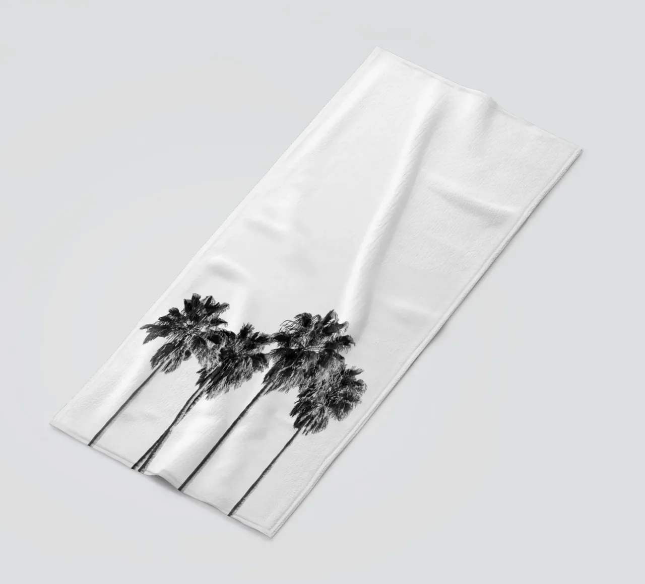 Palm trees telo mare da andreas12