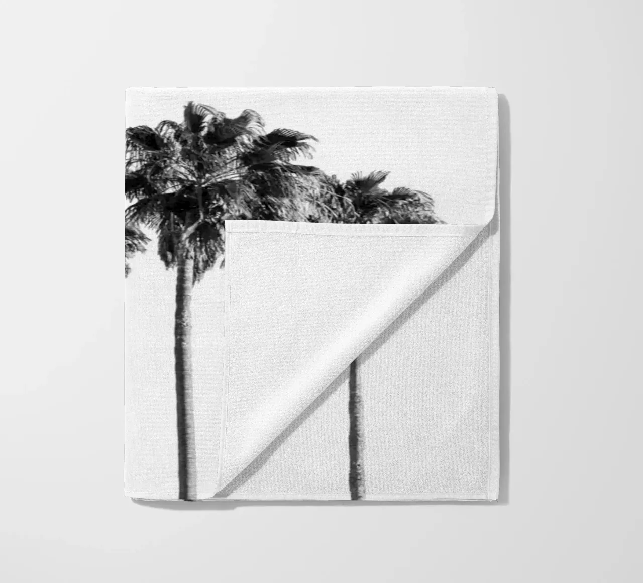 Palm trees telo mare da andreas12