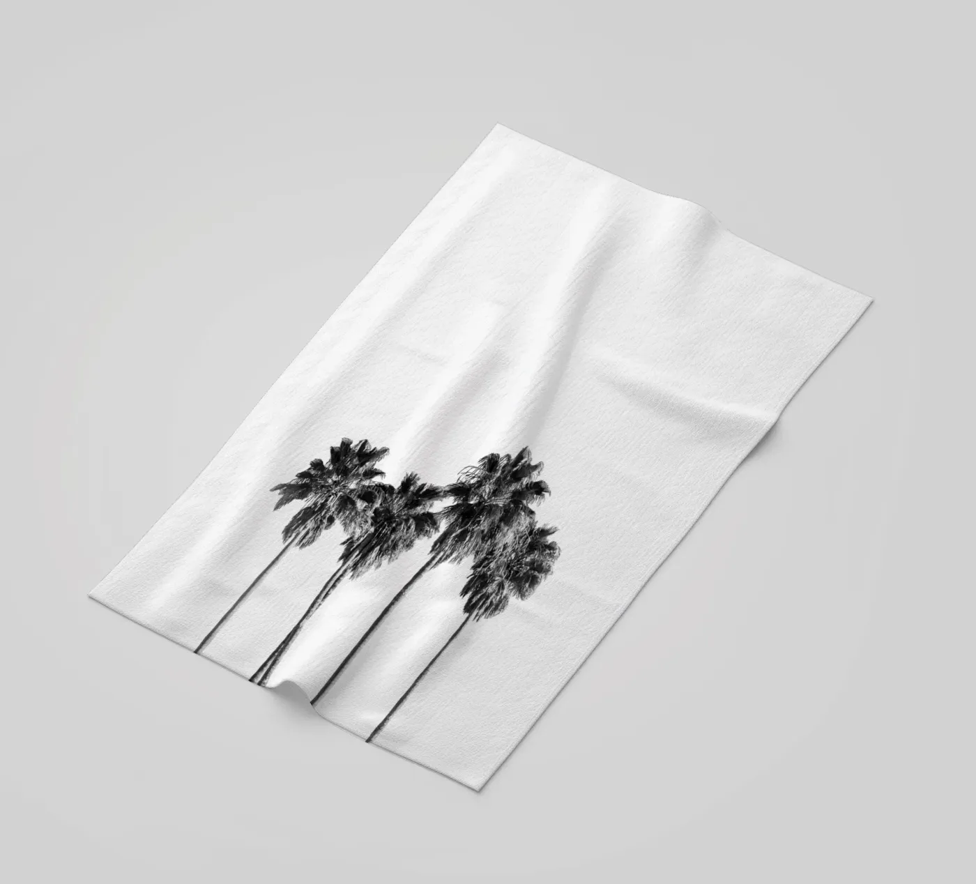Palm trees telo mare da andreas12