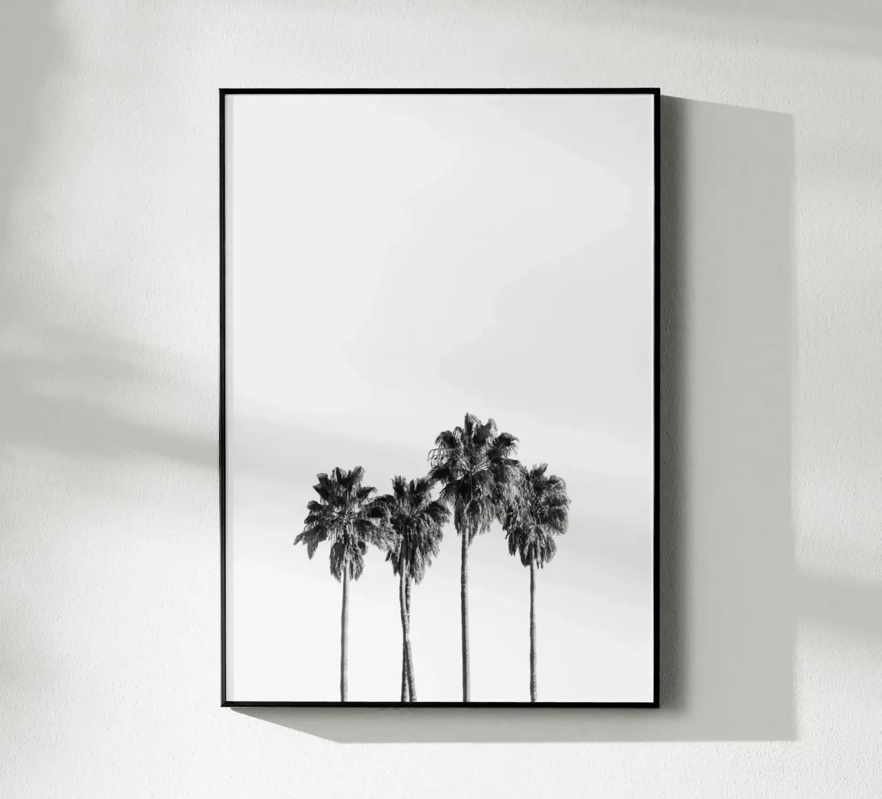 Palm trees plexiglass da andreas12