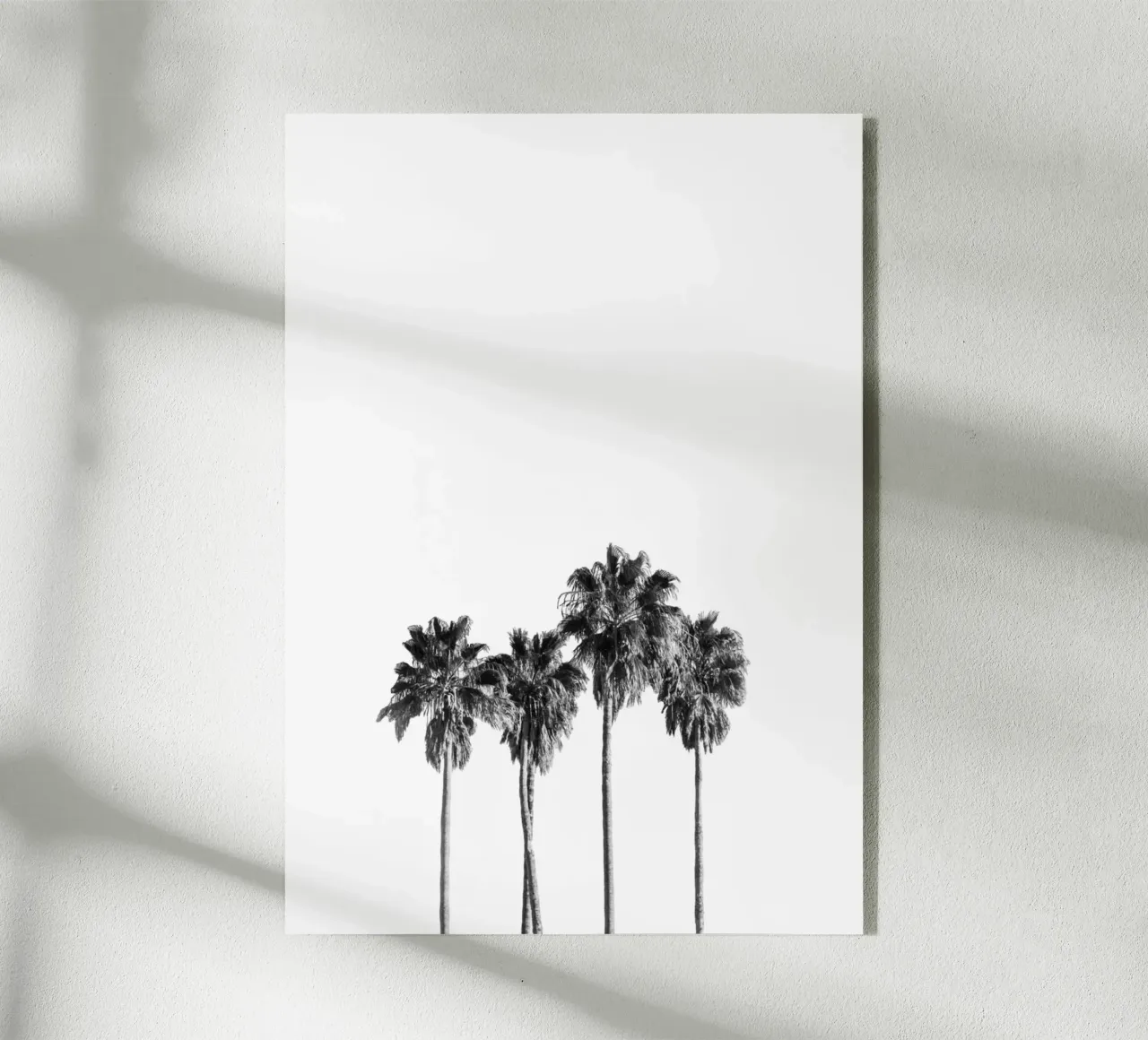 Palm trees plexiglass da andreas12