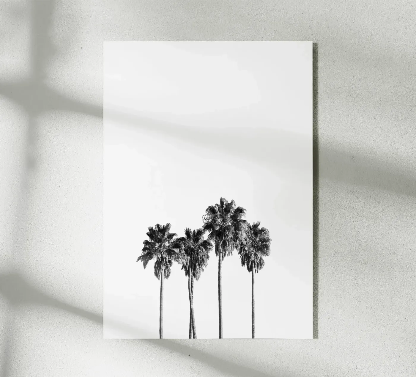 Palm trees plexiglass da andreas12