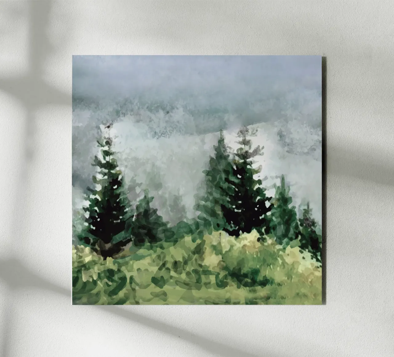 Pine Trees alluminio dibond da andreas12