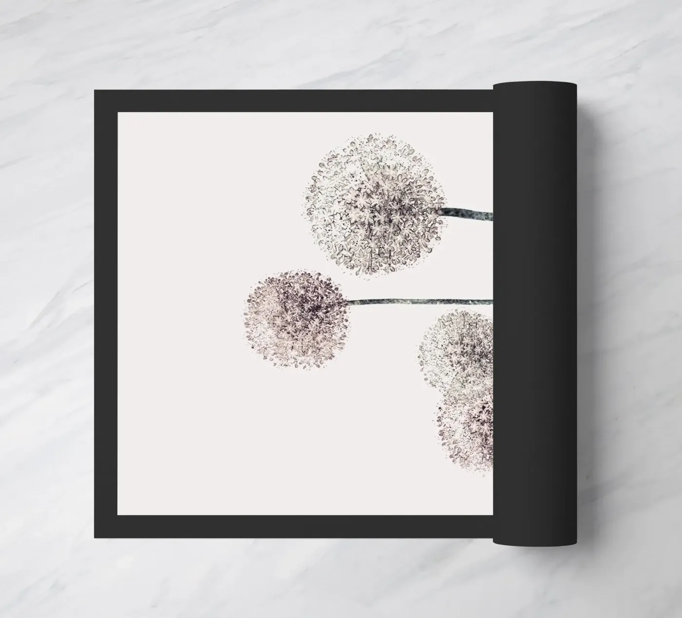Dandelions zerbino da andreas12