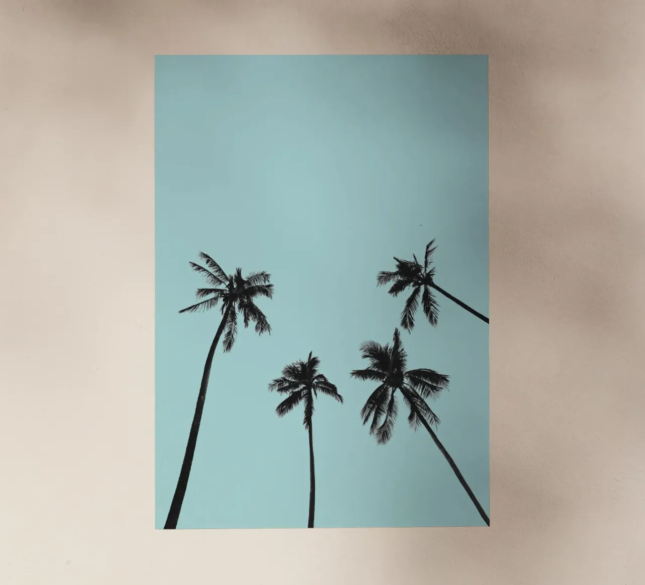 Palm trees pellicola backlit da andreas12