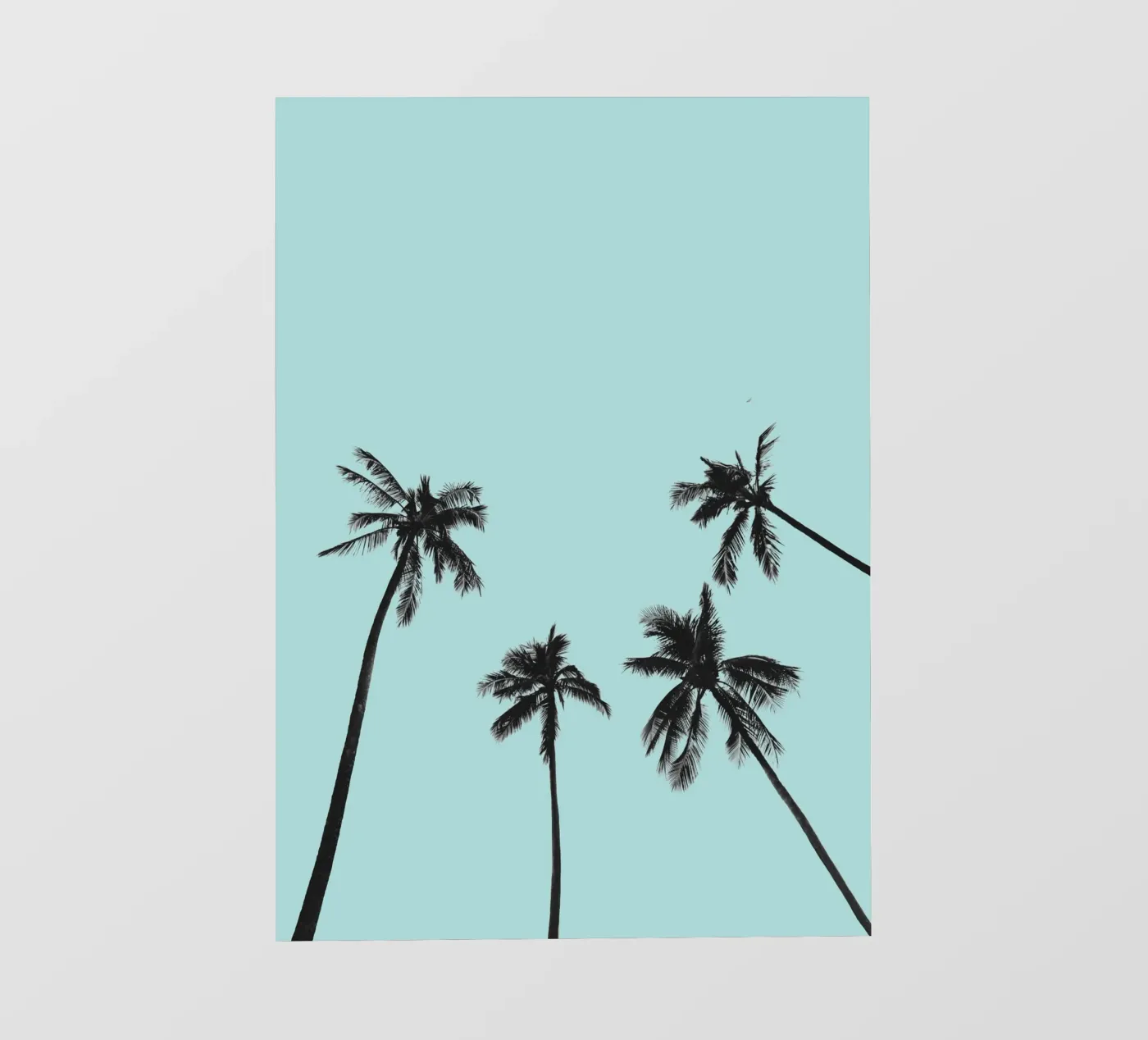 Palm trees fotobehang van andreas12
