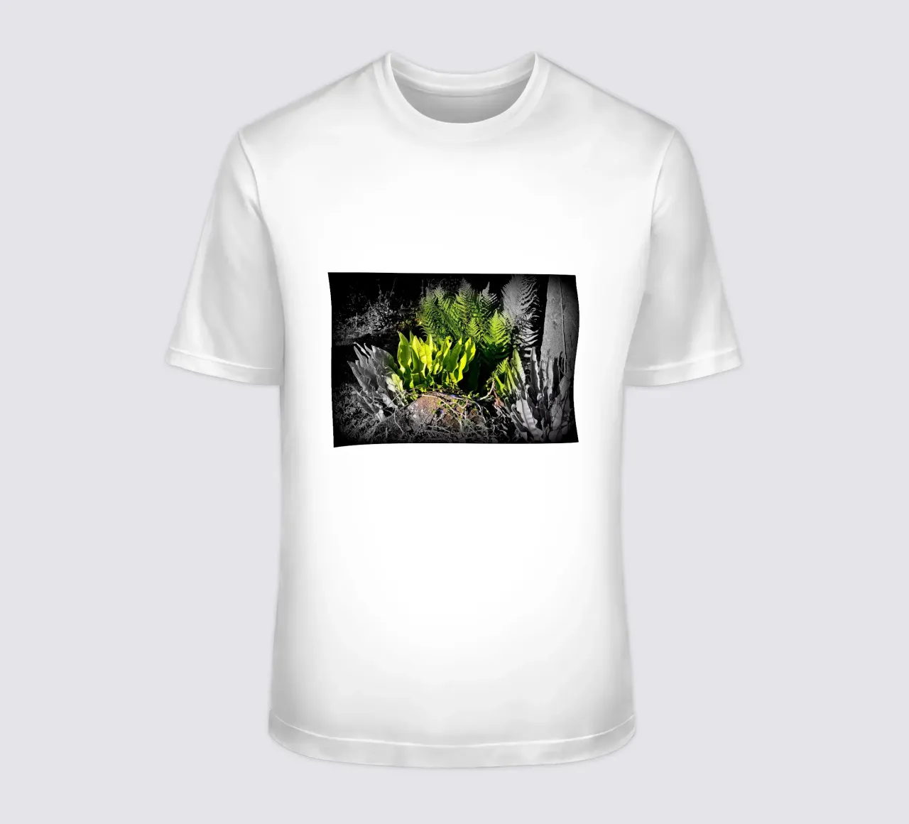 FAA20 t-shirt da Thierry vobmann photography