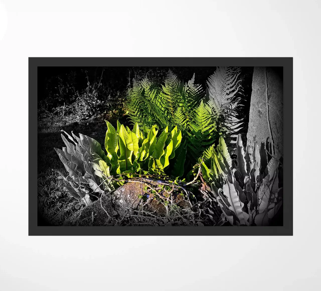 FAA20 doormat by Thierry vobmann photography