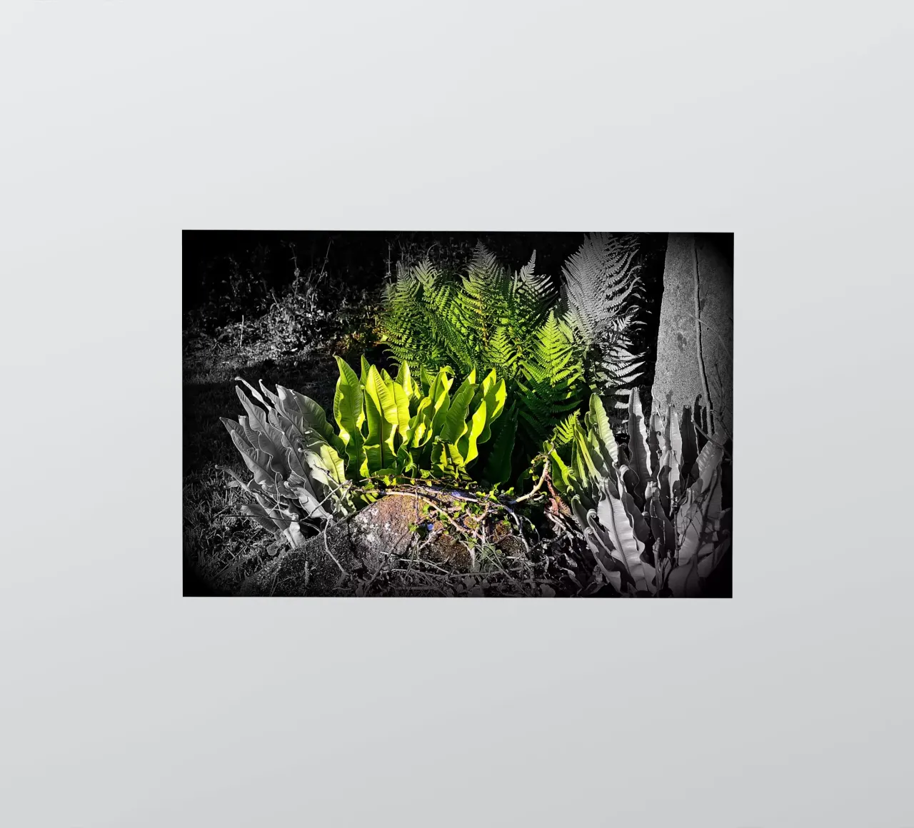 FAA20 Sticker von Thierry vobmann photography