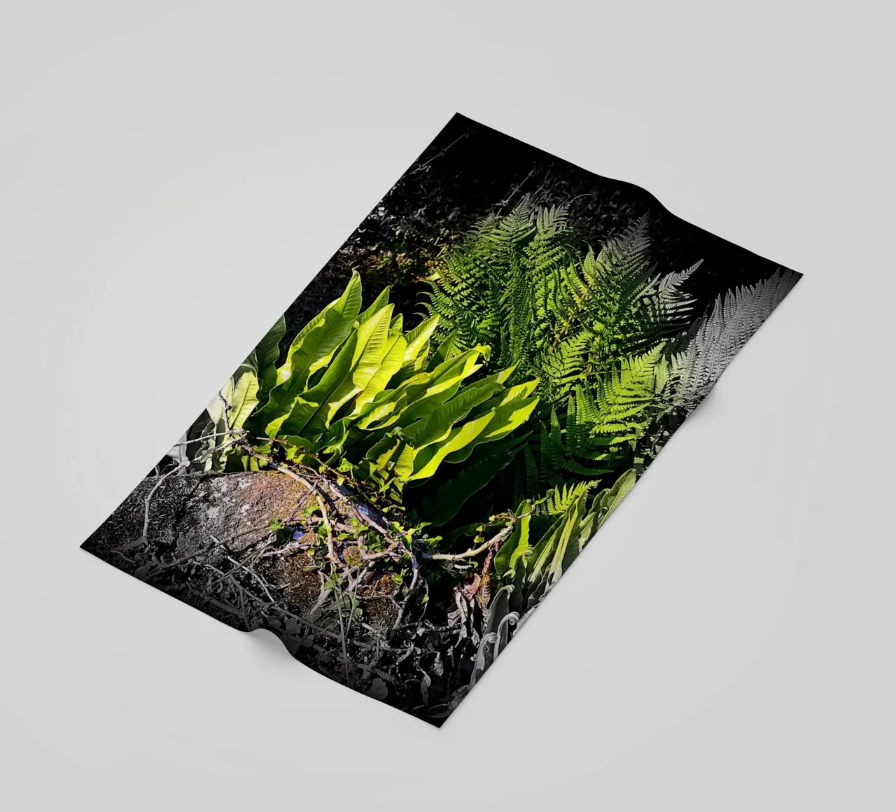 FAA20 telo mare da Thierry vobmann photography