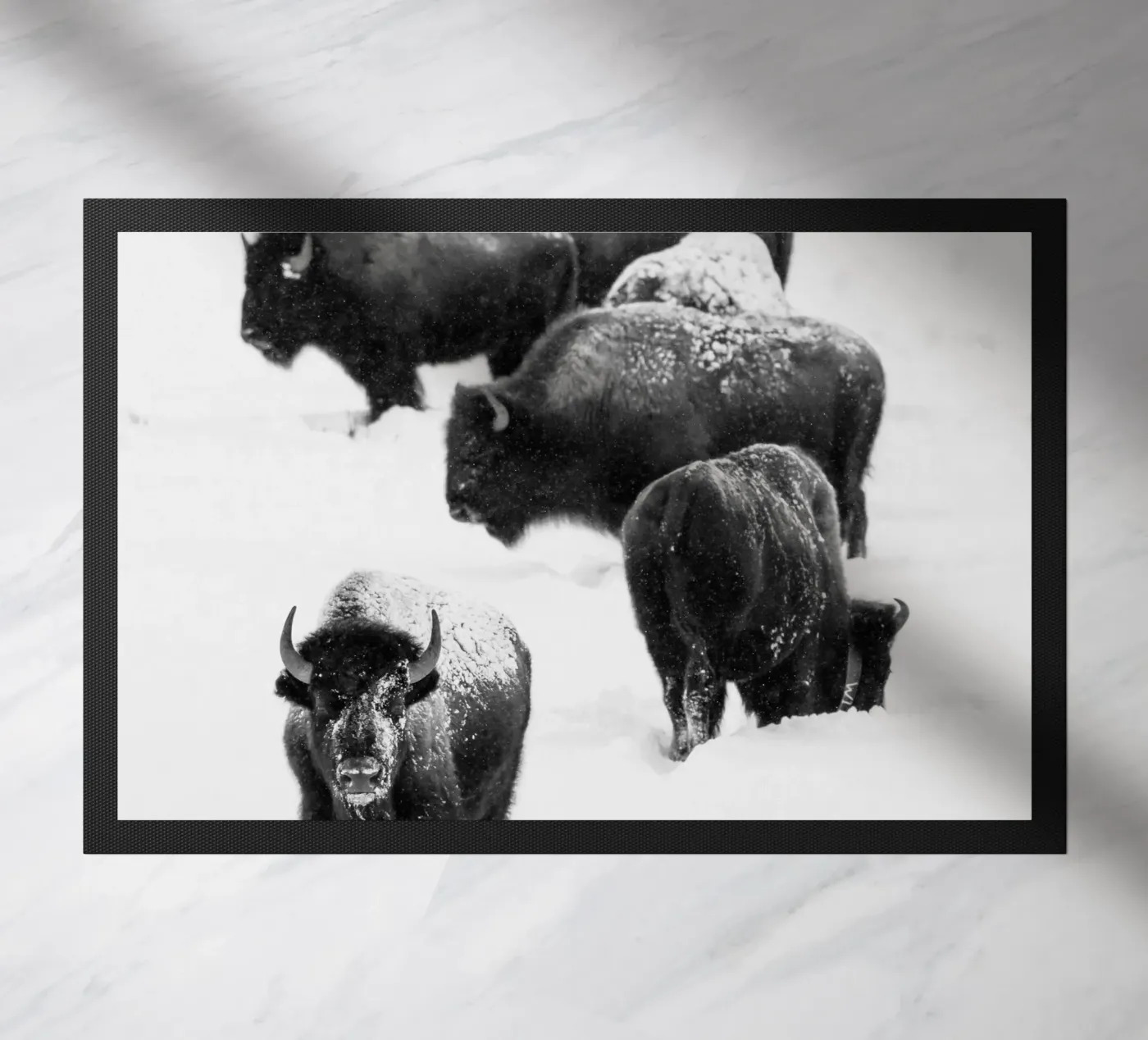 Winter Bison Herd zerbino da andreas12