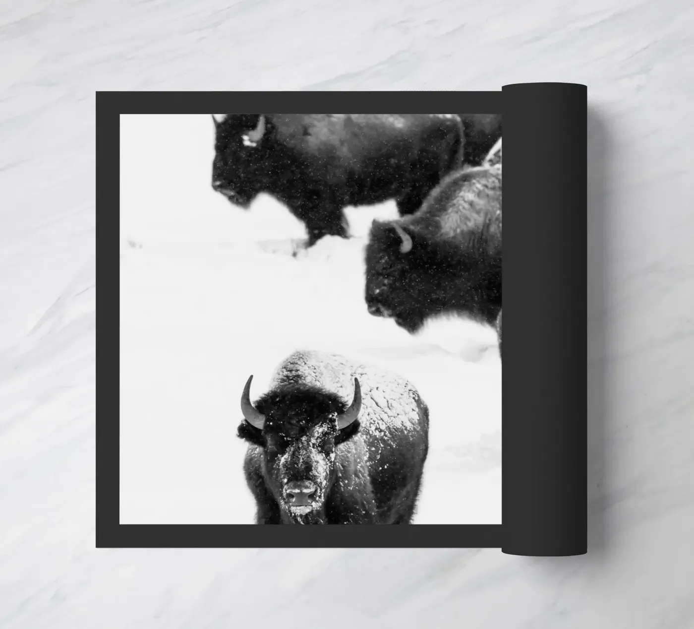 Winter Bison Herd zerbino da andreas12