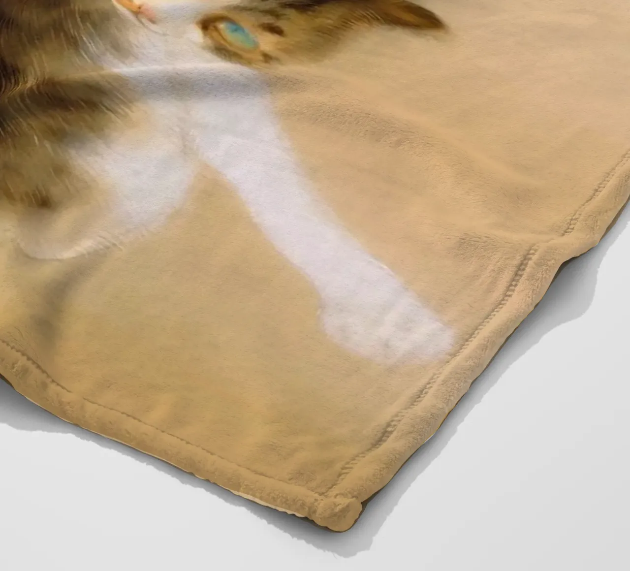 Takeuchi Seihō - Gatto soriano coperta in pile da ARTOTHEK