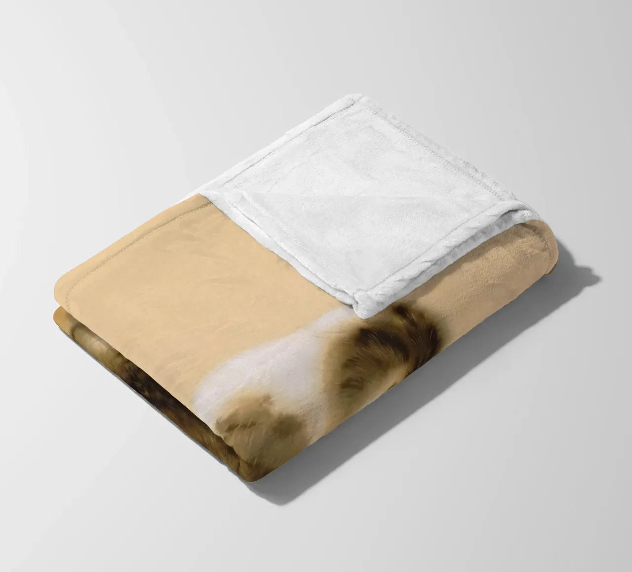 Takeuchi Seihō - Gatto soriano coperta in pile da ARTOTHEK