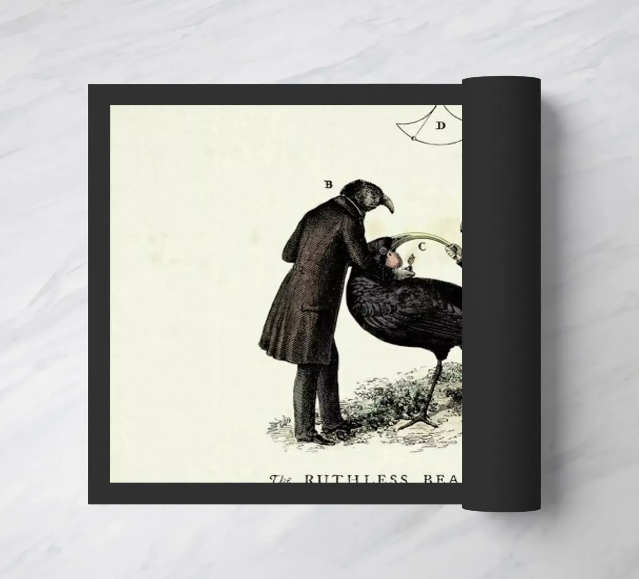 The beak bender zerbino da Matteo Morelli