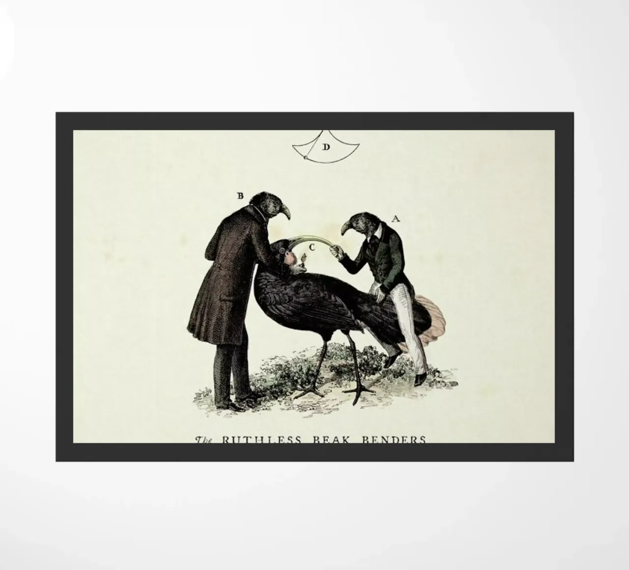 The beak bender zerbino da Matteo Morelli