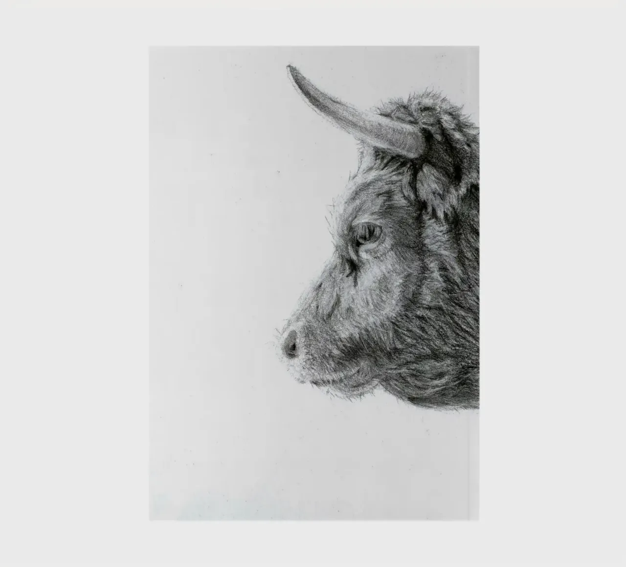Staring in the fog-Cow Portrait in Pencil notebook by Patruschka’s Paintings