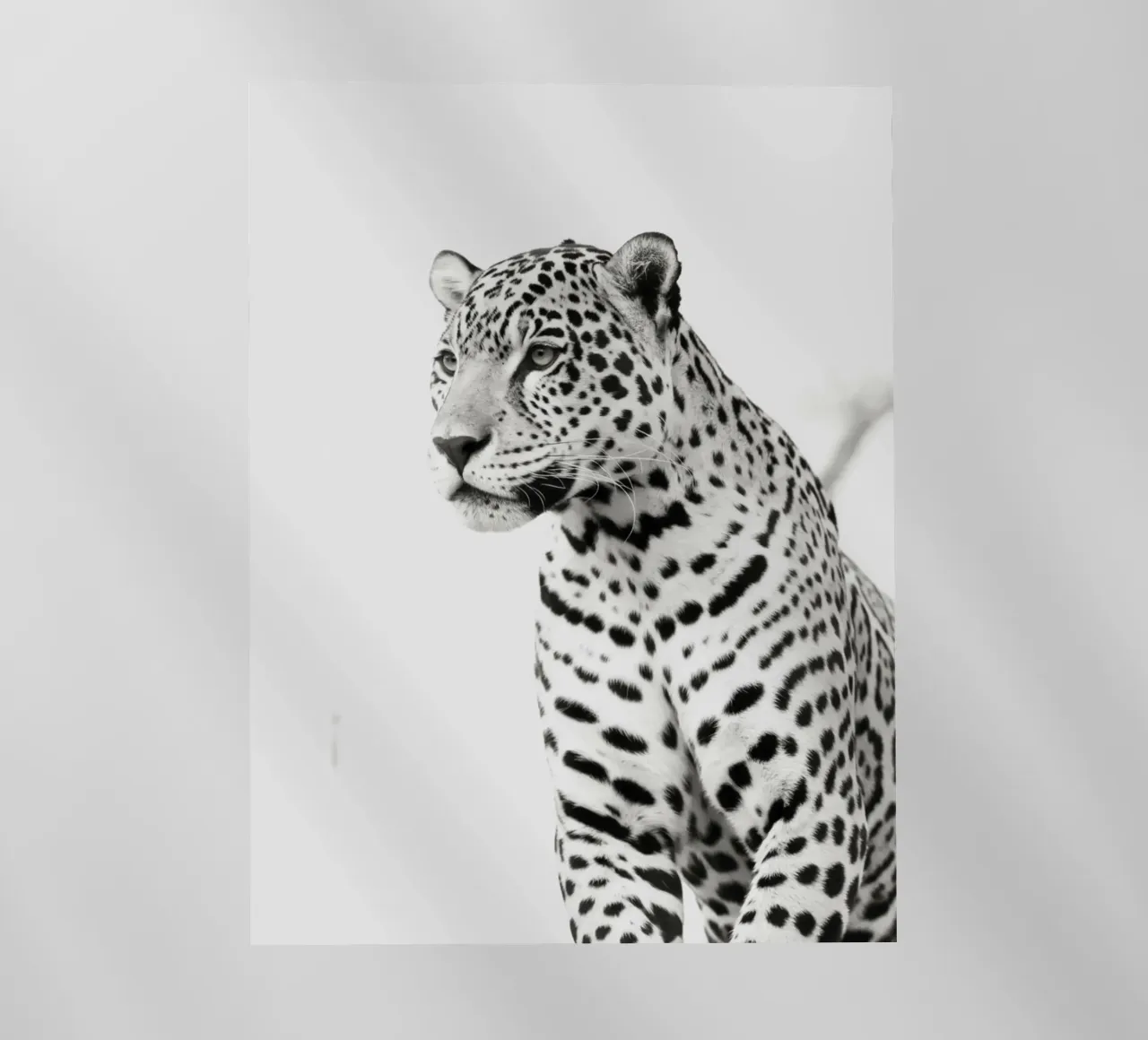 Leopard pellicola backlit da PERSIE