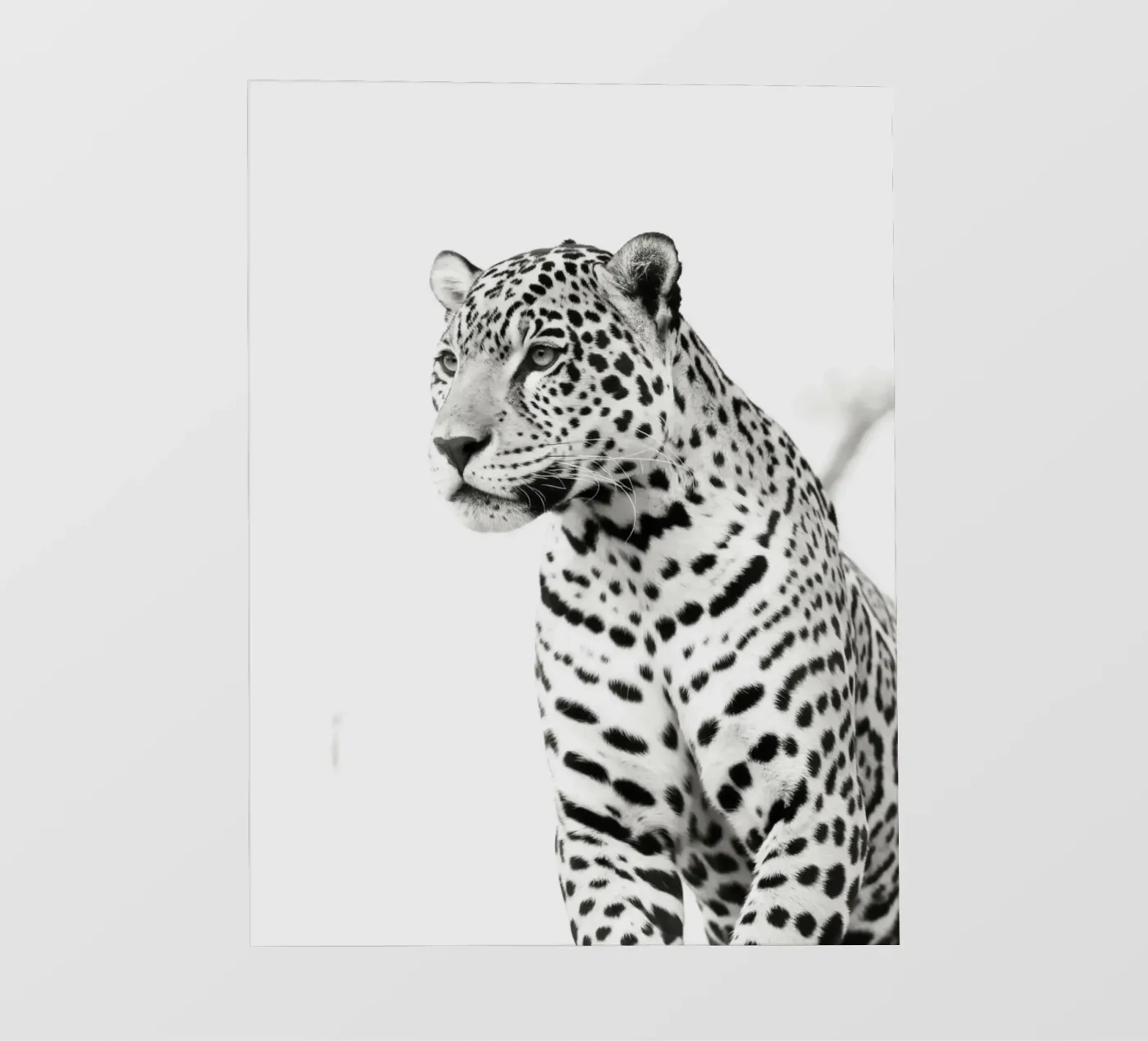 Leopard papier peint photo de PERSIE
