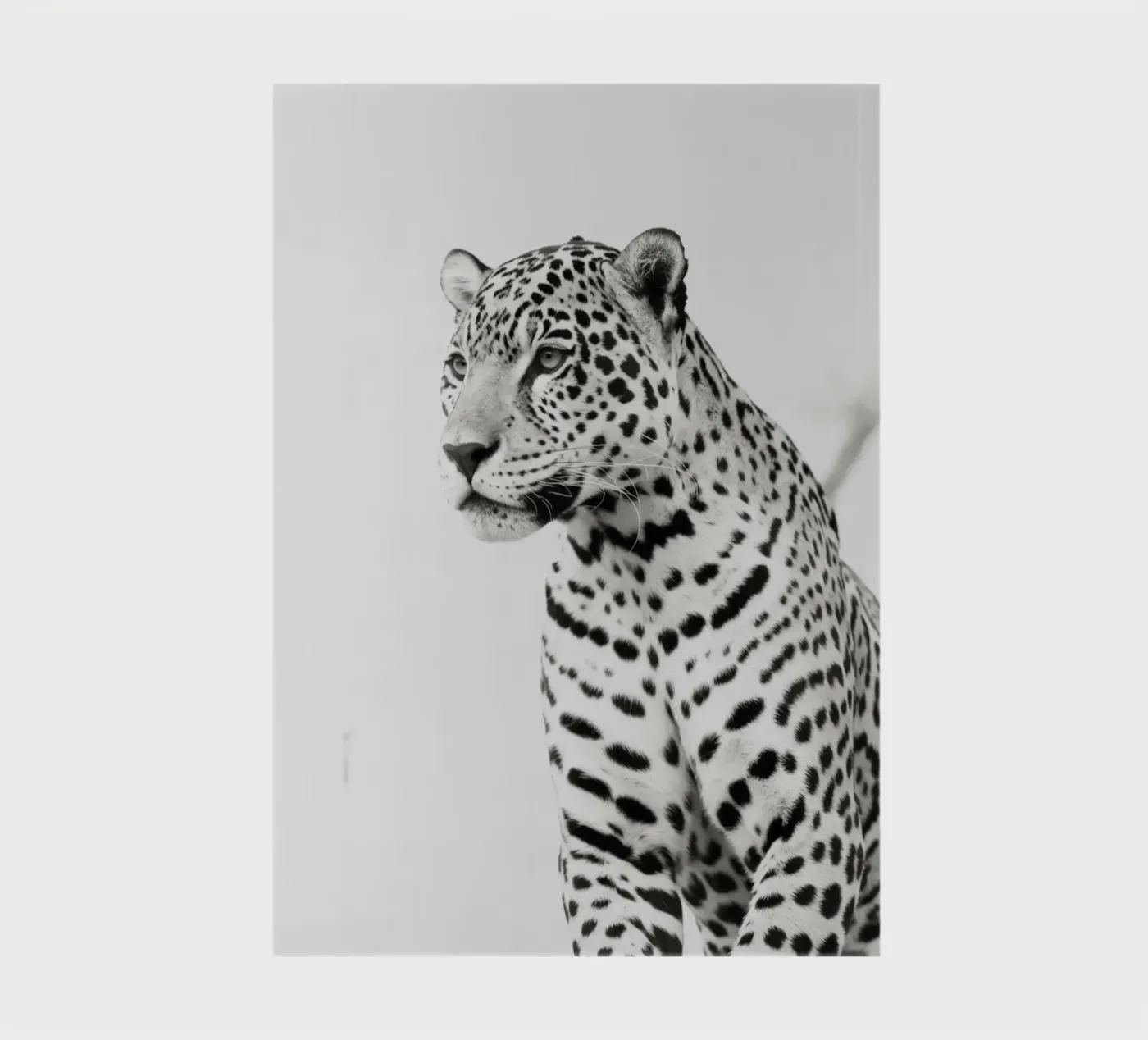 Leopard notebook by PERSIE