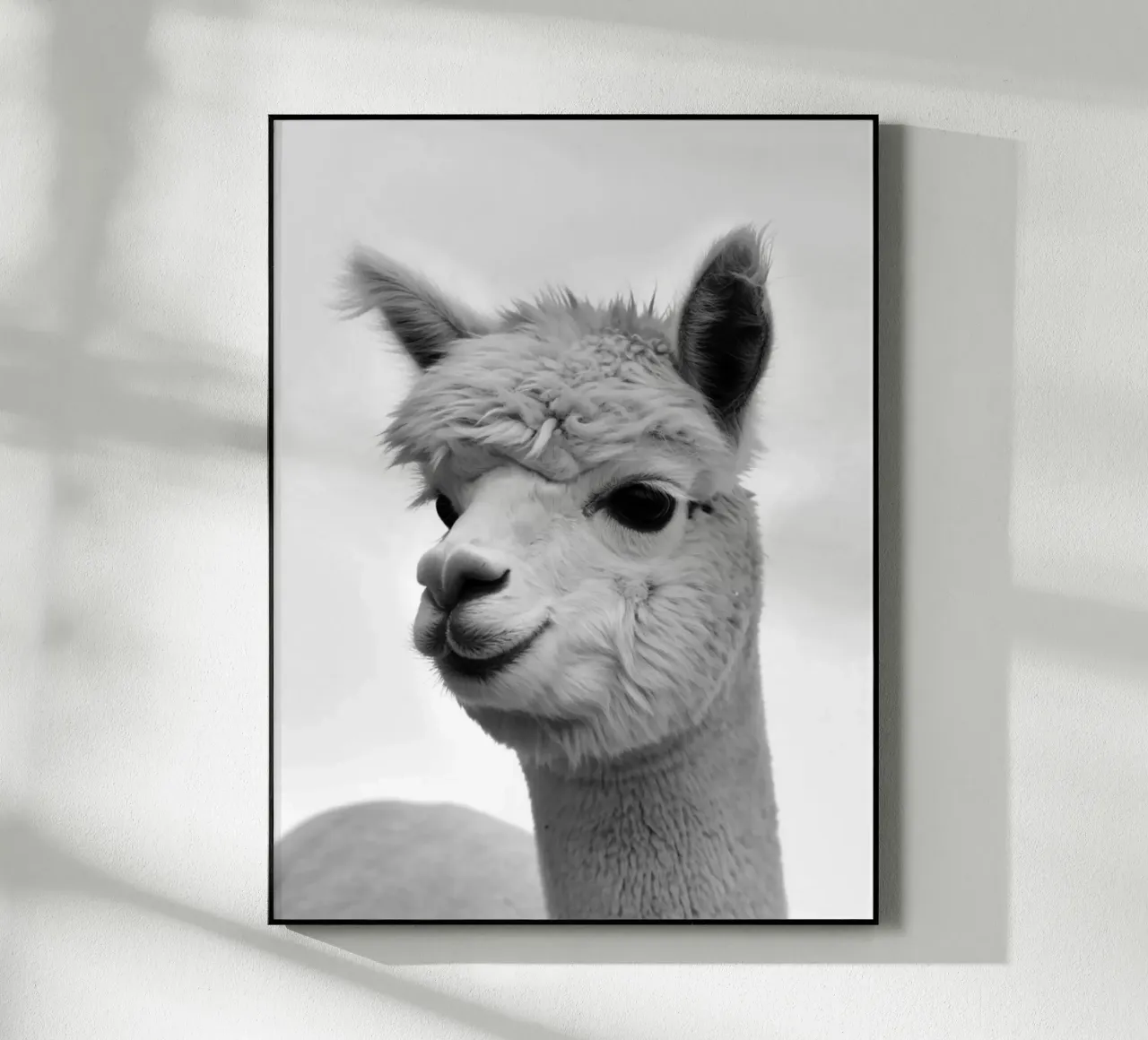 alpaca plexiglass da PERSIE