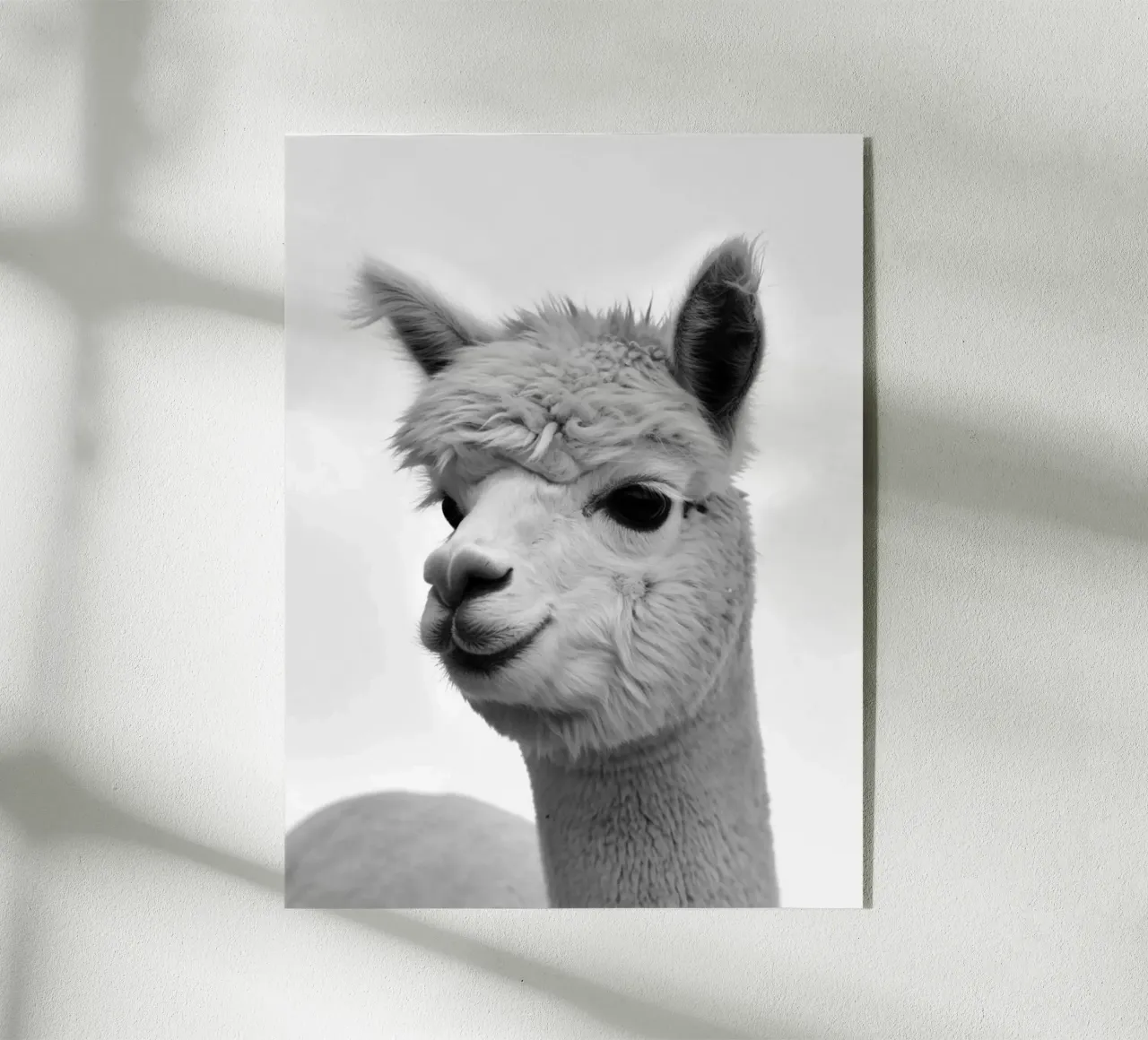 alpaca plexiglass da PERSIE