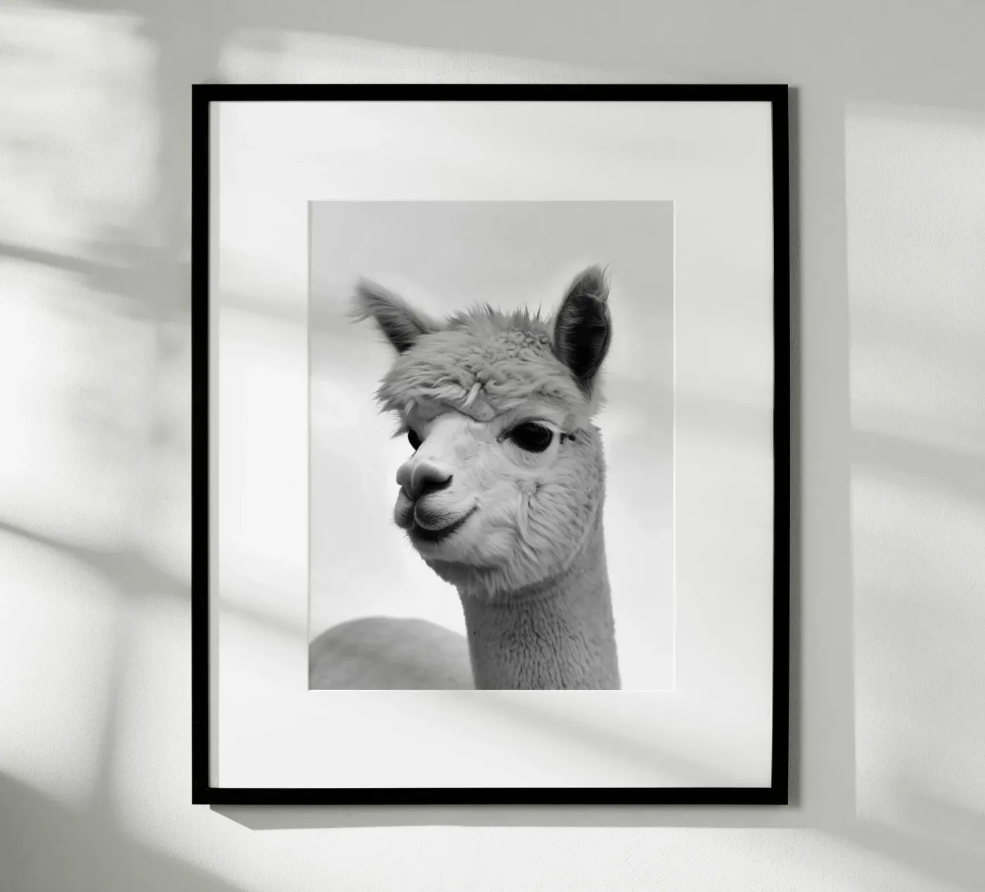 alpaca poster da PERSIE