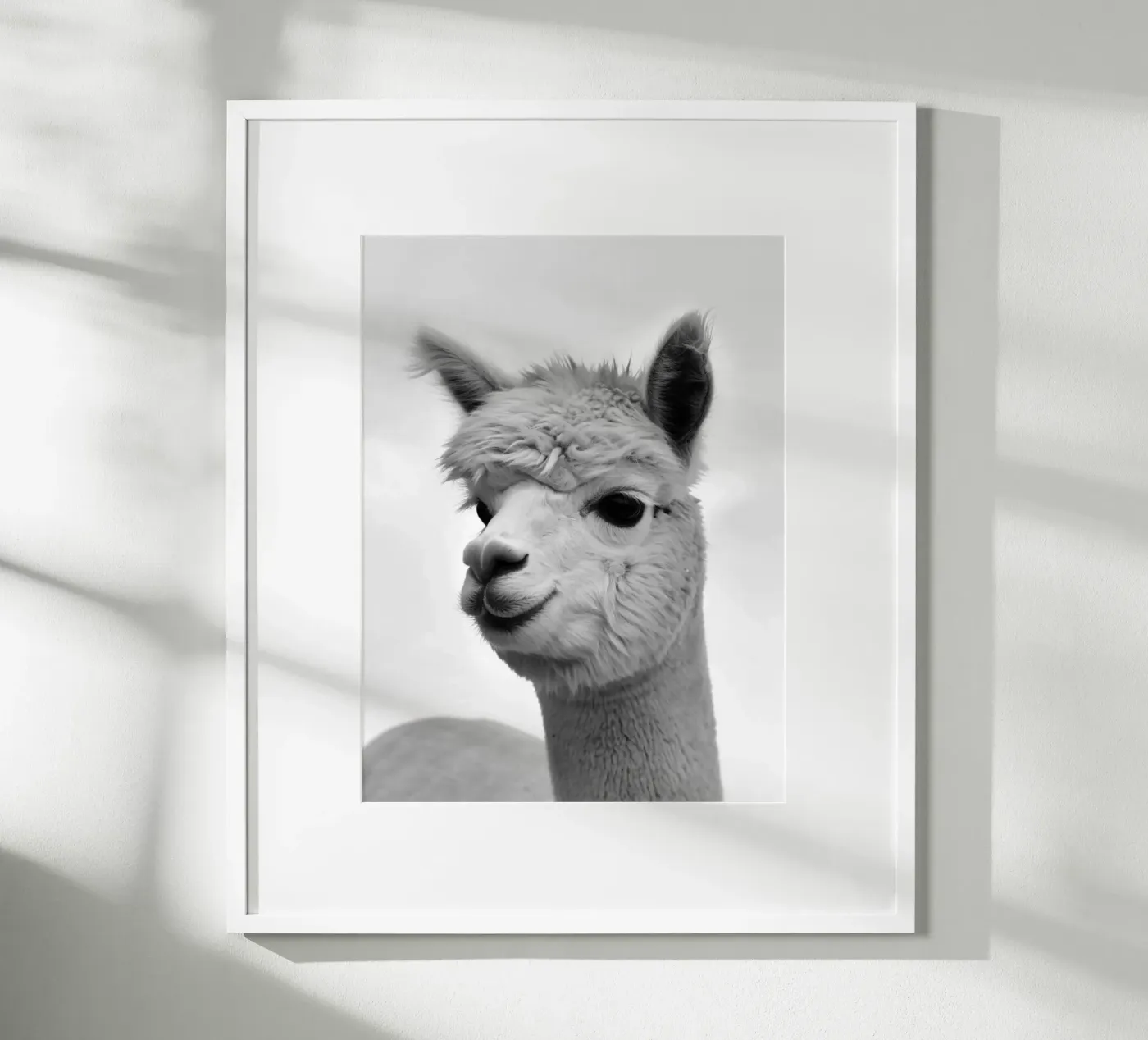alpaca poster da PERSIE
