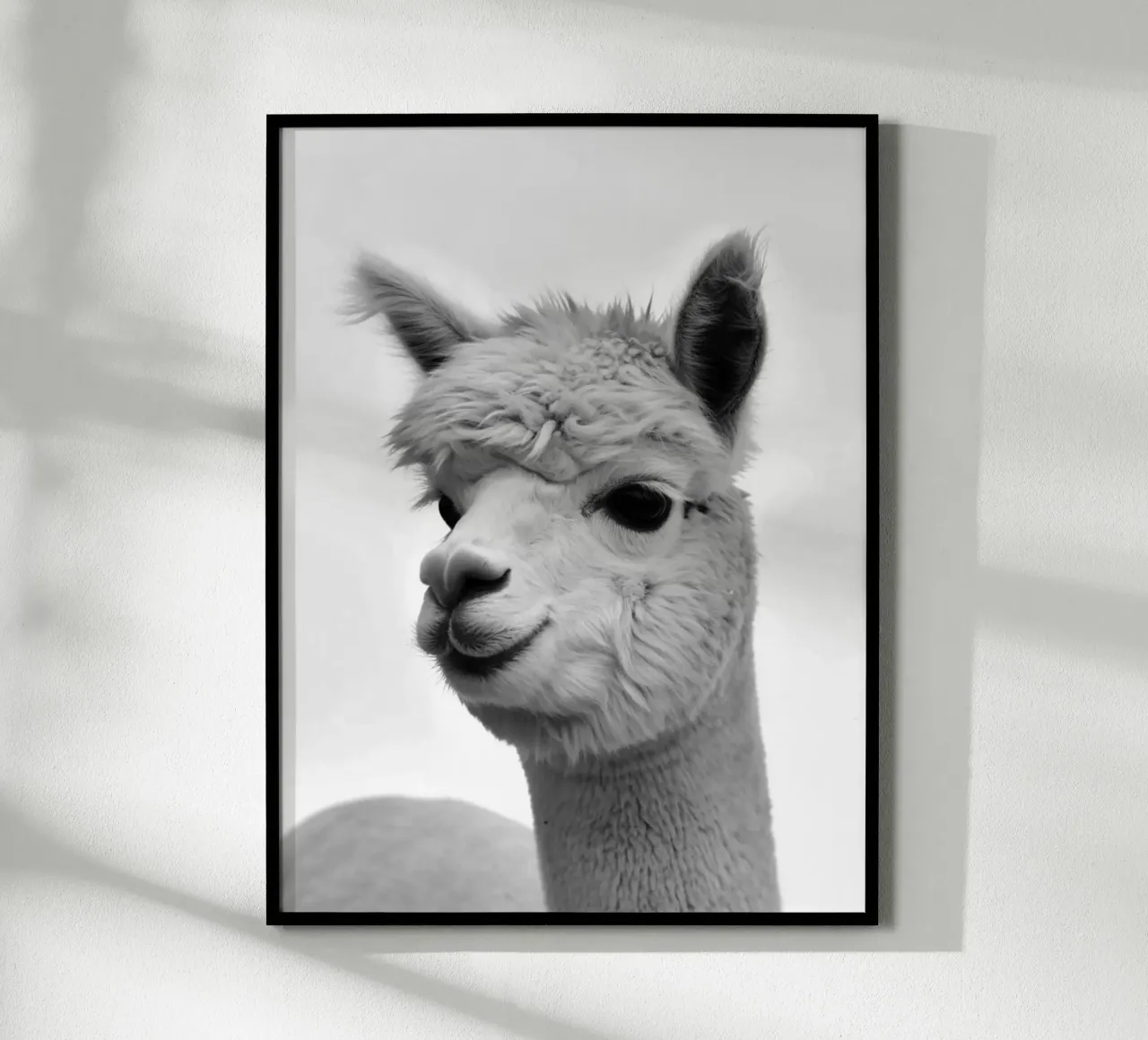 alpaca poster da PERSIE