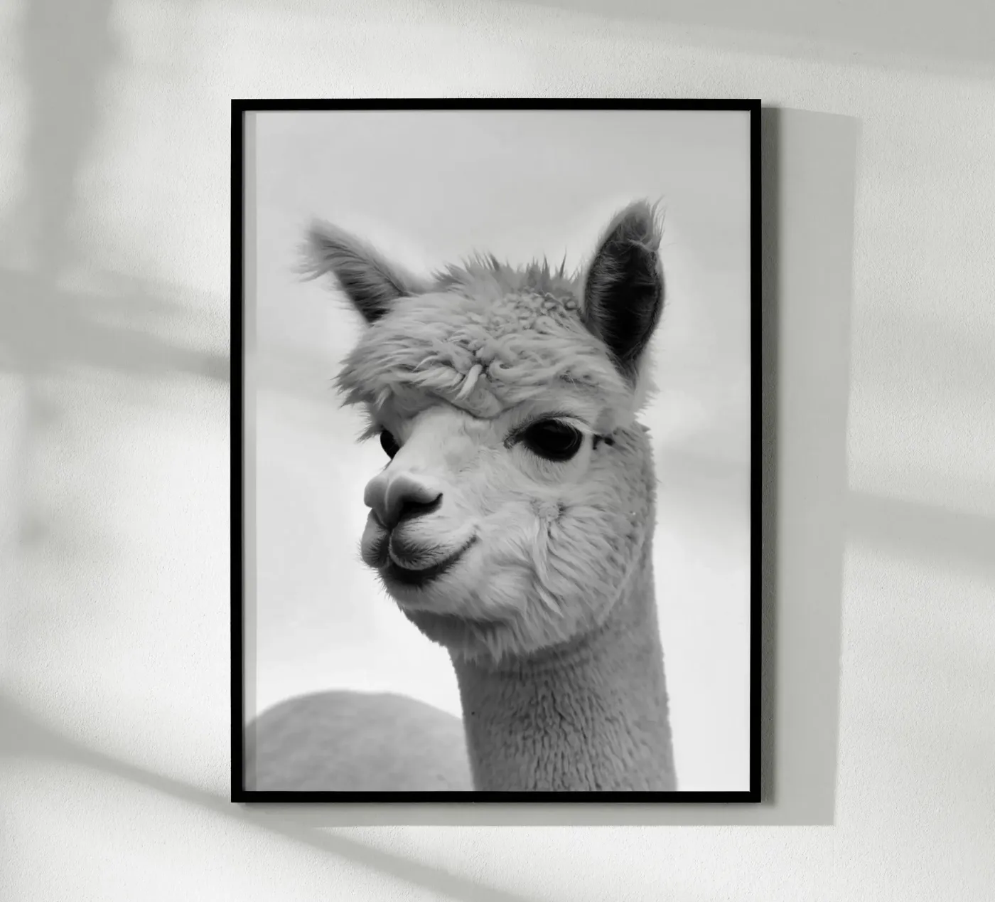 alpaca poster da PERSIE
